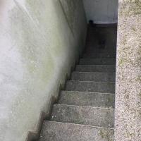 Avant l’application du traitement