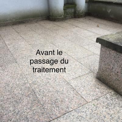 Avant le passage du traitement