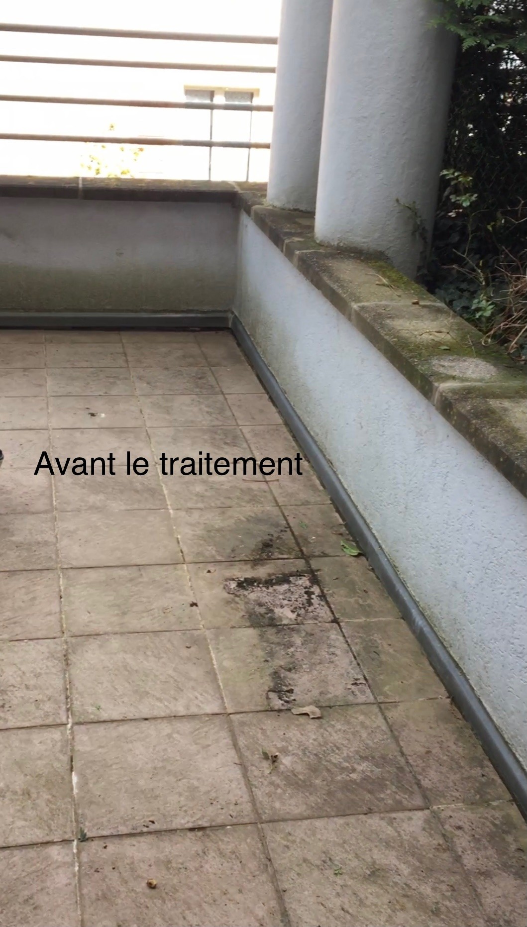 Avant le traitement