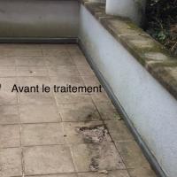 Avant le traitement